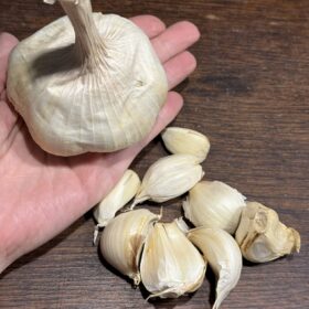 Knoblauch Garcua