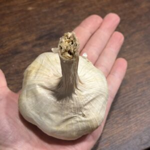 Knoblauch Garcua