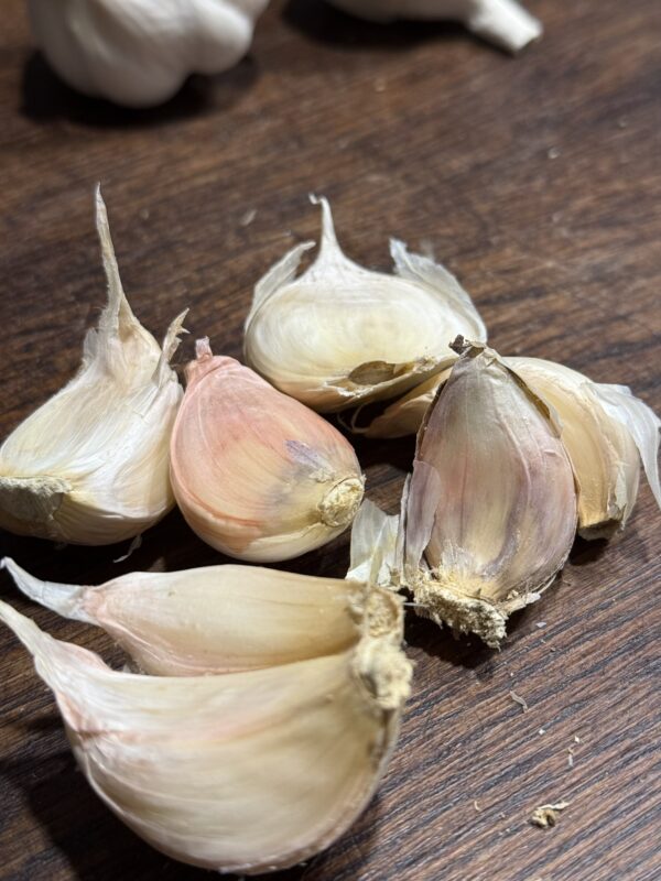 Messidrome Knoblauch