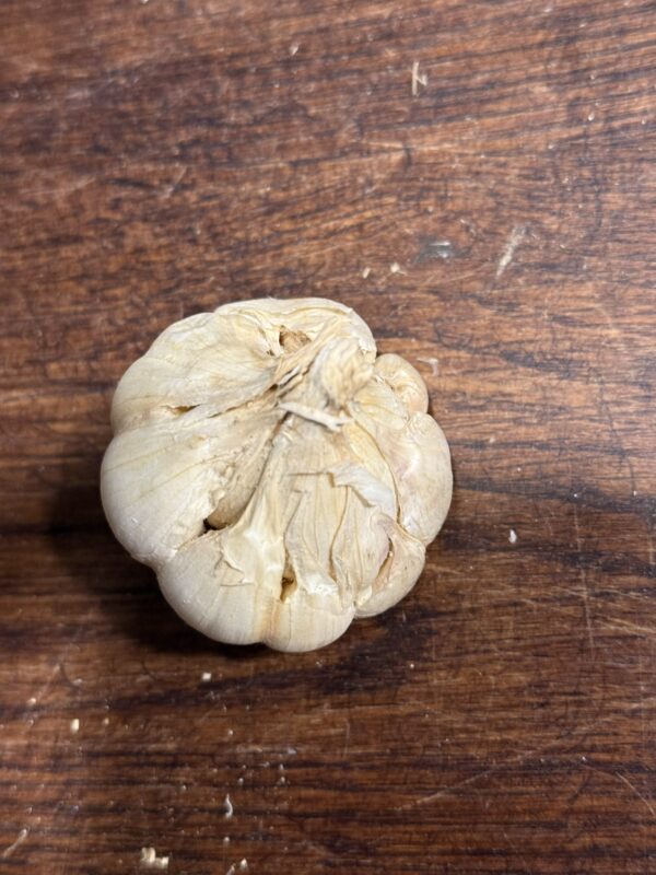 Messidrome Knoblauch