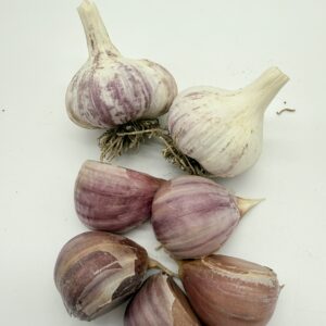 Knoblauch Arkus