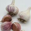 Knoblauch Arkus