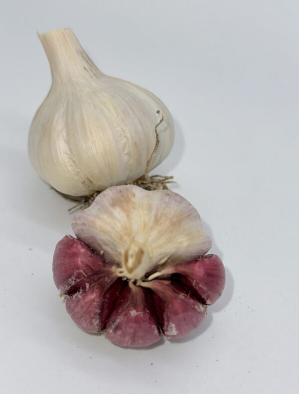 Bella Italia Knoblauch