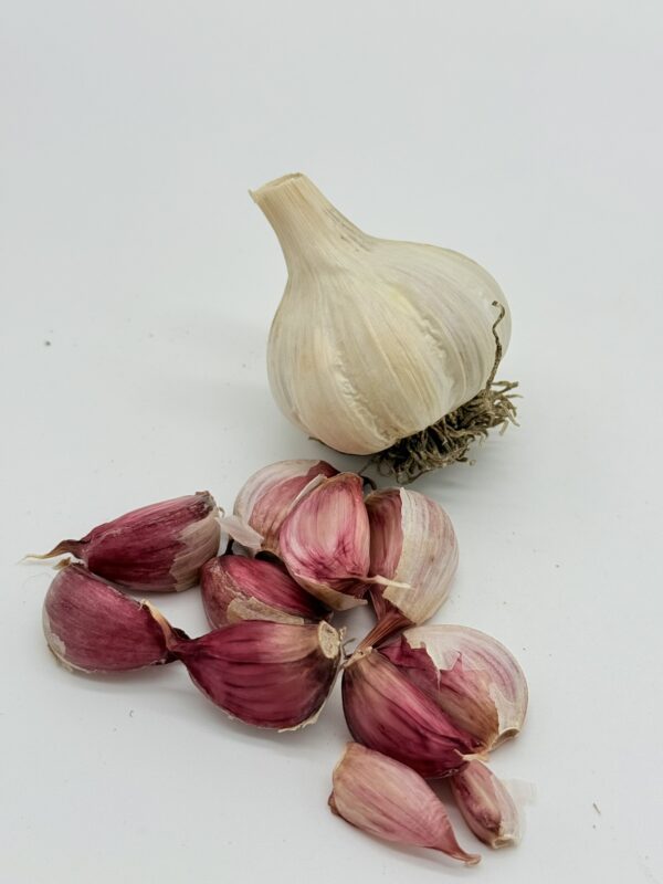 Bella Italia Knoblauch