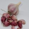 Bella Italia Knoblauch