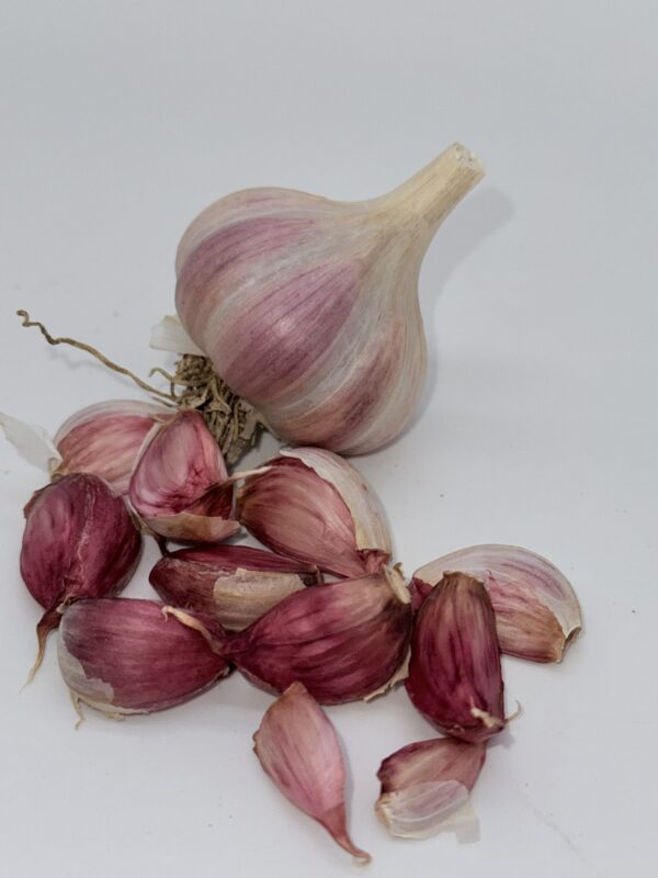 Bella Italia Knoblauch