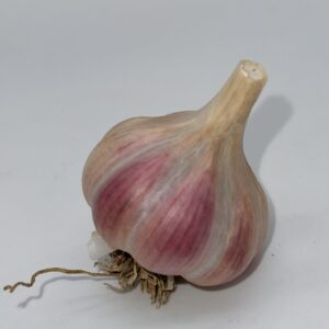 Bella Italia Knoblauch