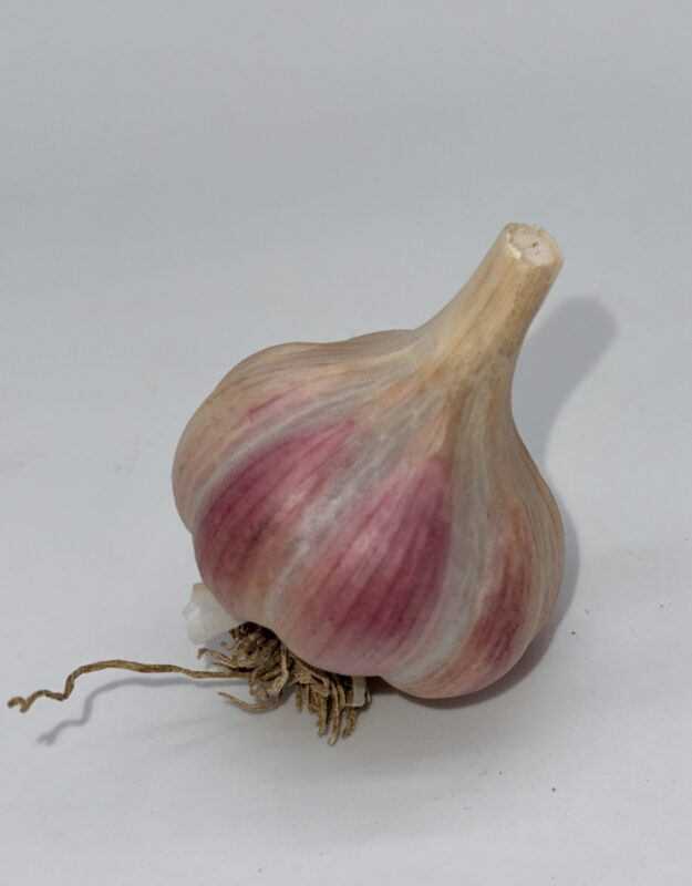 Bella Italia Knoblauch