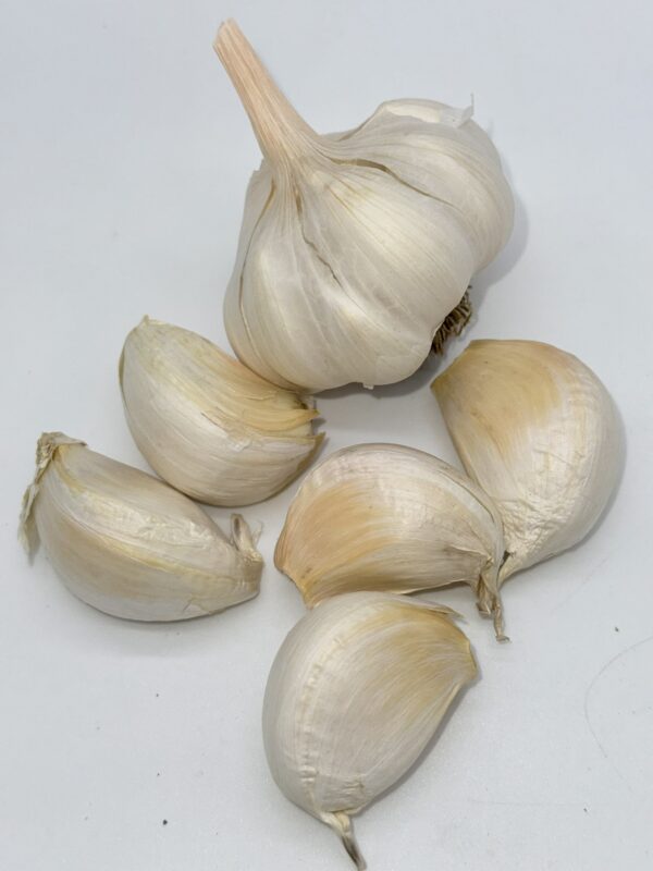 Carcasonne Knoblauch