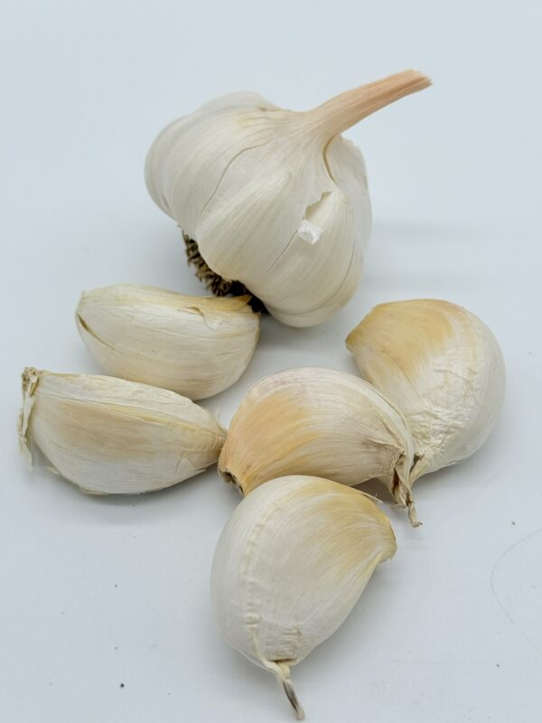 Carcasonne Knoblauch