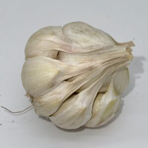 Early Purple White Knoblauch