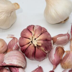 Gardos Knoblauch