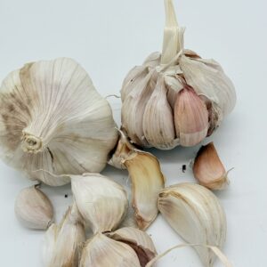 Knoblauch Garpek