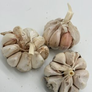 Knoblauch Garpek