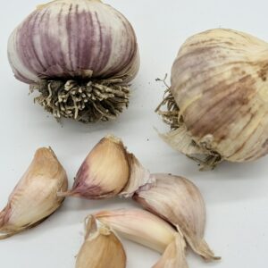 Knoblauch Germidour