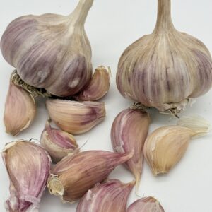 Harnas Knoblauch