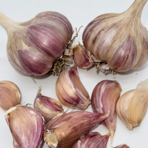 Harnas Knoblauch
