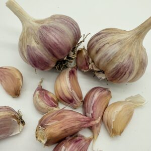 Harnas Knoblauch