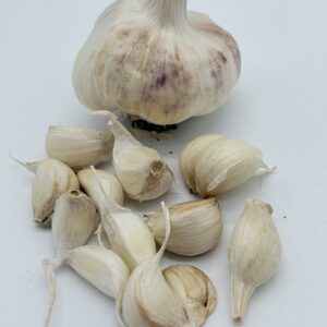 Inchellium Red Knoblauch