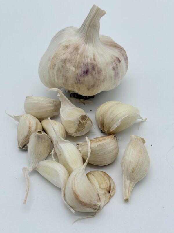 Inchellium Red Knoblauch
