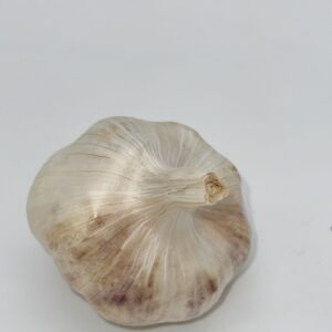 Inchellium Red Knoblauch