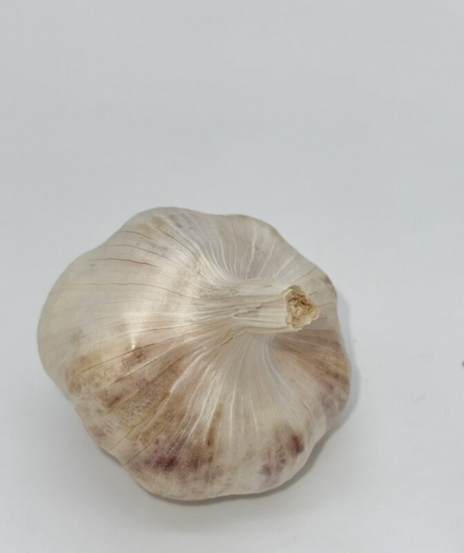 Inchellium Red Knoblauch
