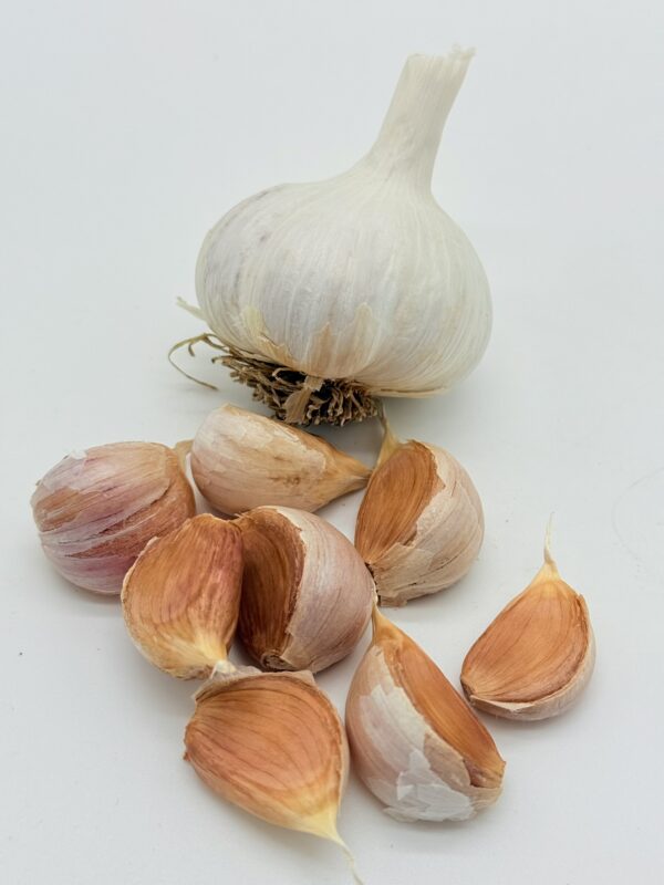 Koreanischer Bauer Knoblauch