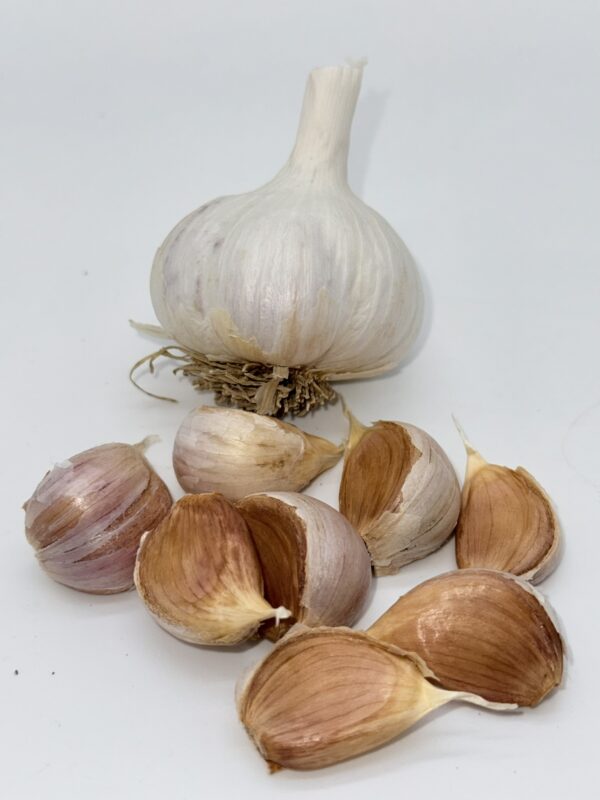 Koreanischer Bauer Knoblauch