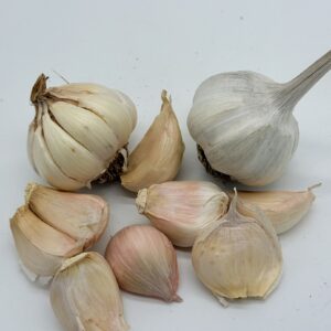 Messidrome Knoblauch