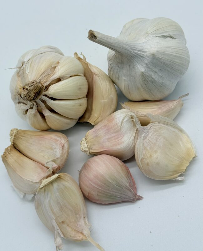 Messidrome Knoblauch