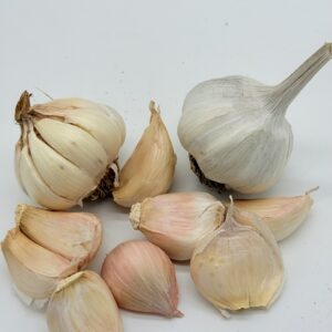 Messidrome Knoblauch