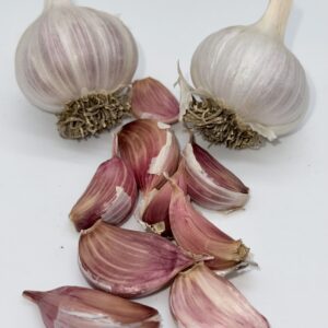 Nubien Knoblauch