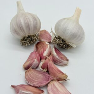 Nubien Knoblauch
