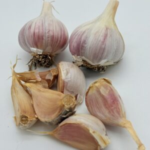 Knoblauch Ornak