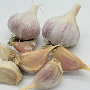Knoblauch Ornak