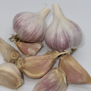 Knoblauch Ornak