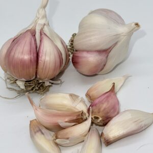 Silverskin Knoblauch