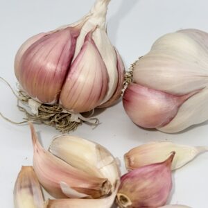 Silverskin Knoblauch