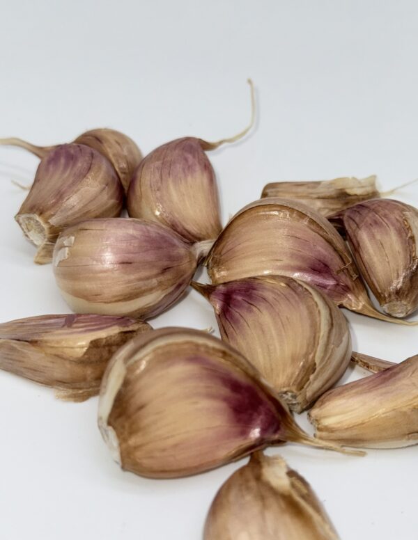 Striped Glacer Knoblauch