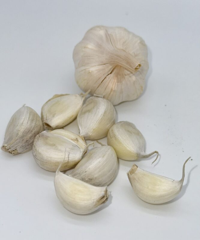 Knoblauchliebe Knobauch Therador
