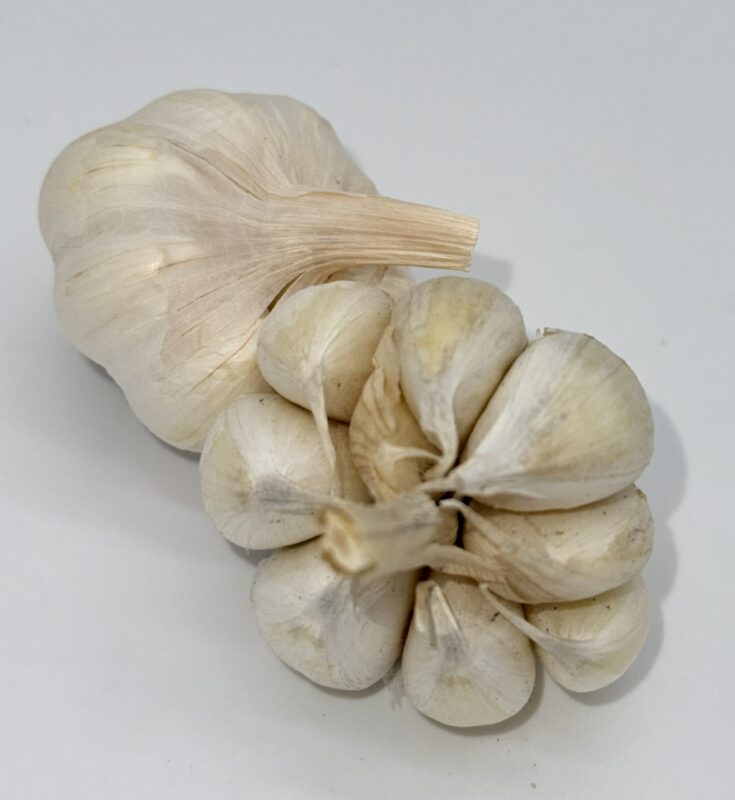 Knoblauchliebe Knobauch Therador