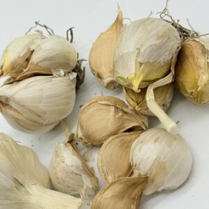 Valdichiana Knoblauch