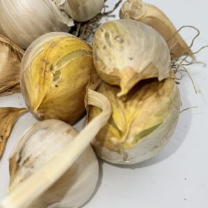 Valdichiana Knoblauch
