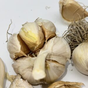 Valdichiana Knoblauch