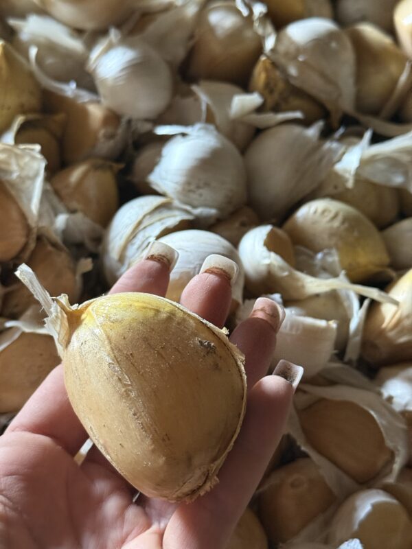 Portugiesischer Riesenknoblauch