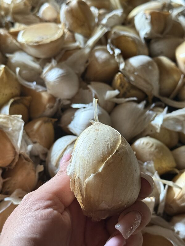 Portugiesischer Riesenknoblauch – Bild 2