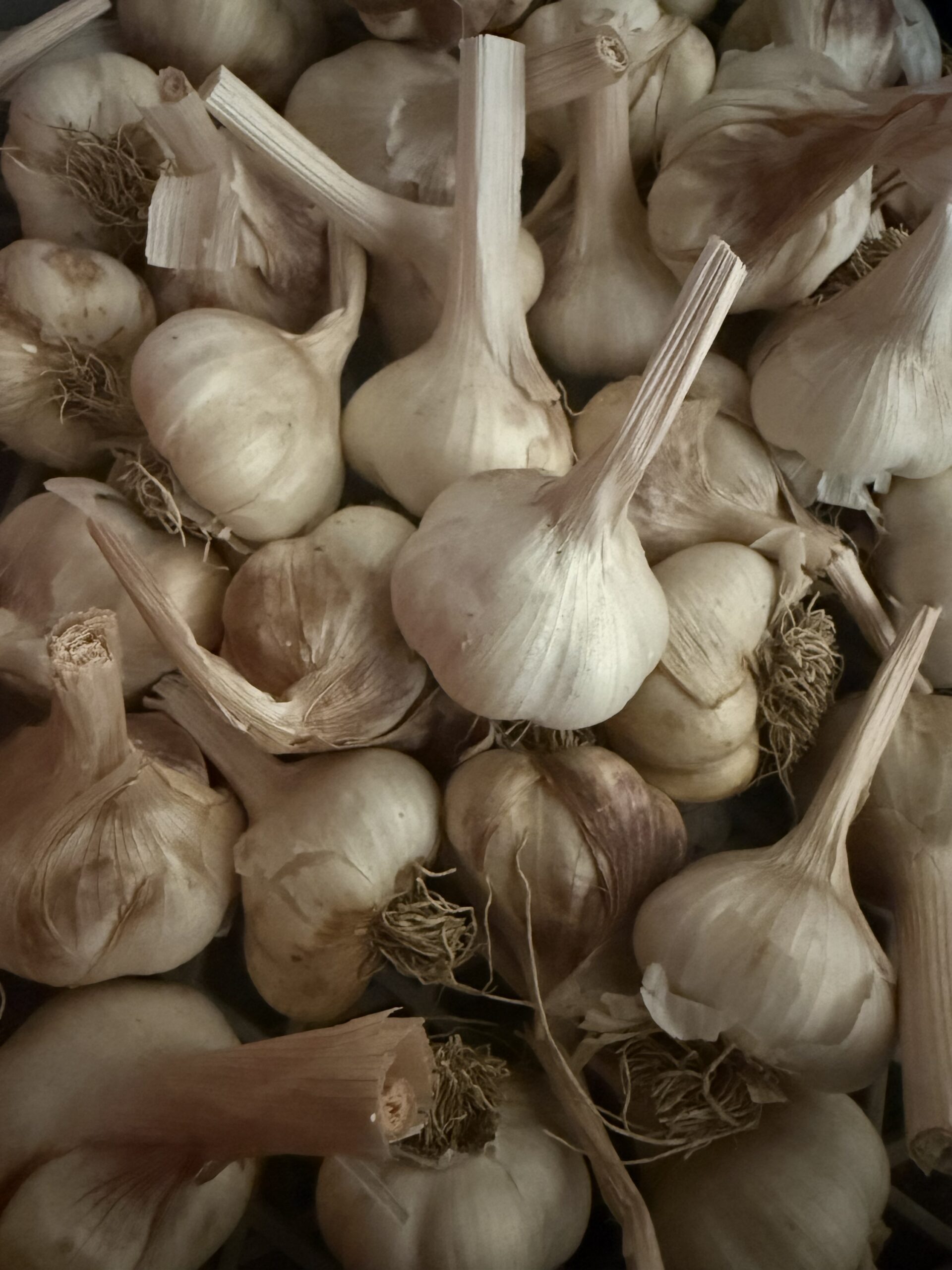 Rustisem – Bild 3